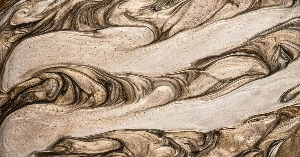 Napapijri Erkek Montları: Şıklık ve Fonksiyonelliğin Modern Buluşması