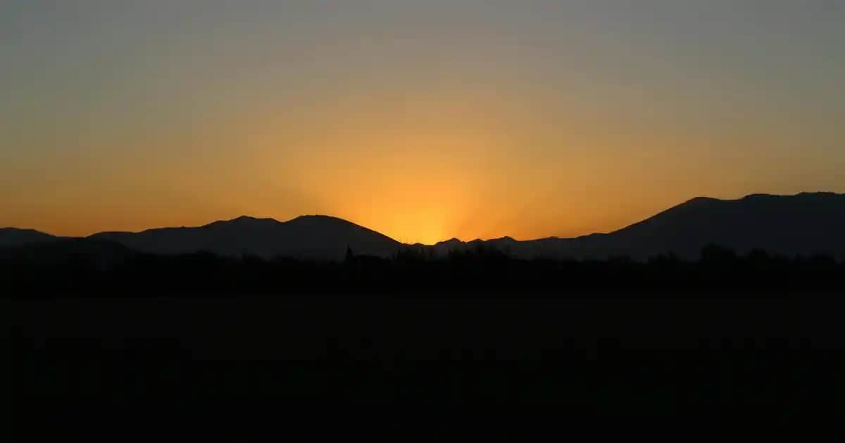 Nayk Sırt Çantası: Günlük Kullanım ve Moda İçin Çok Yönlü Seçenekler