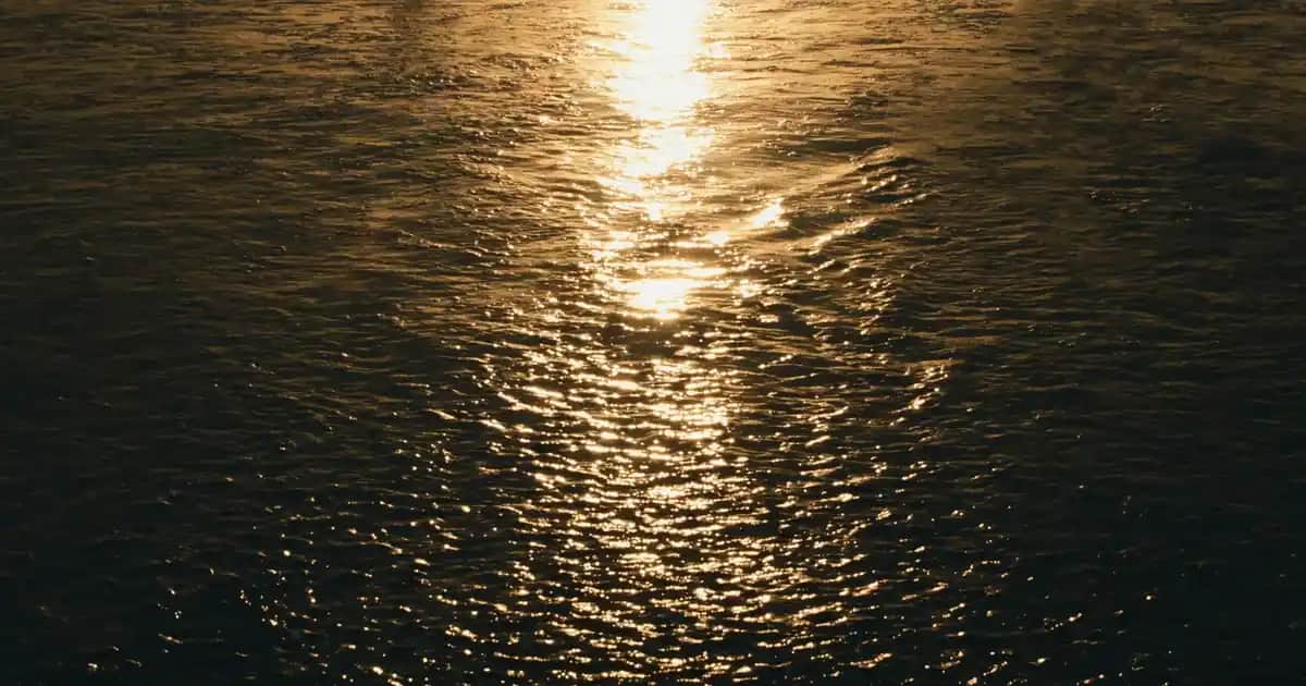 New Balance 580 Kadın Ayakkabıları: Şıklık ve Konforun Mükemmel Buluşması