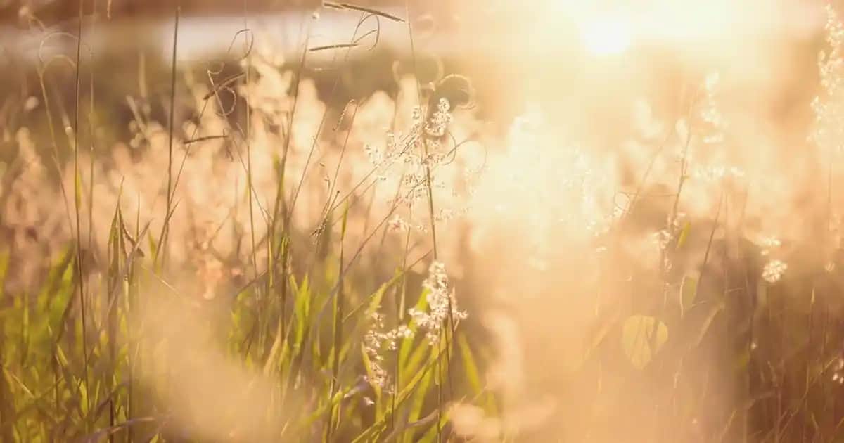 Nike Air 270 React Erkek Spor Ayakkabıları: Modern Tasarım ve Teknolojinin Birleşimi