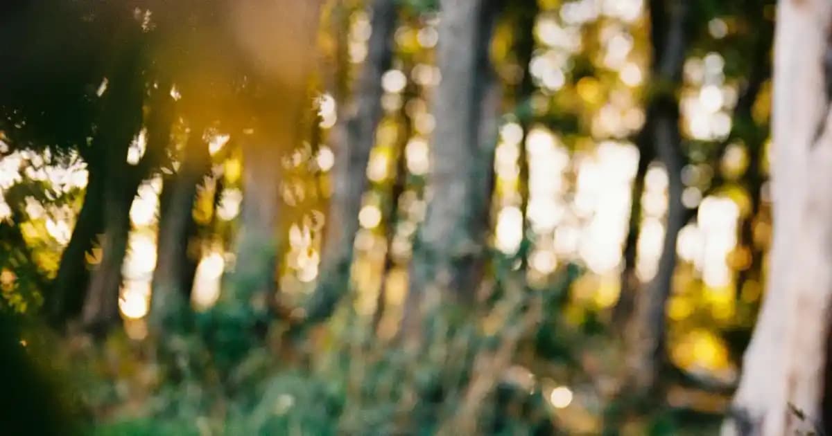 Nike Air Force 1 '07 Erkek Ayakkabı: Modern Tasarım ve Konforun Buluşması