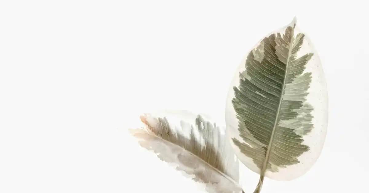 Nike Air Force 1 '07 FW23 Erkek Spor Ayakkabı: Modern Tasarım ve Konforun Buluşması