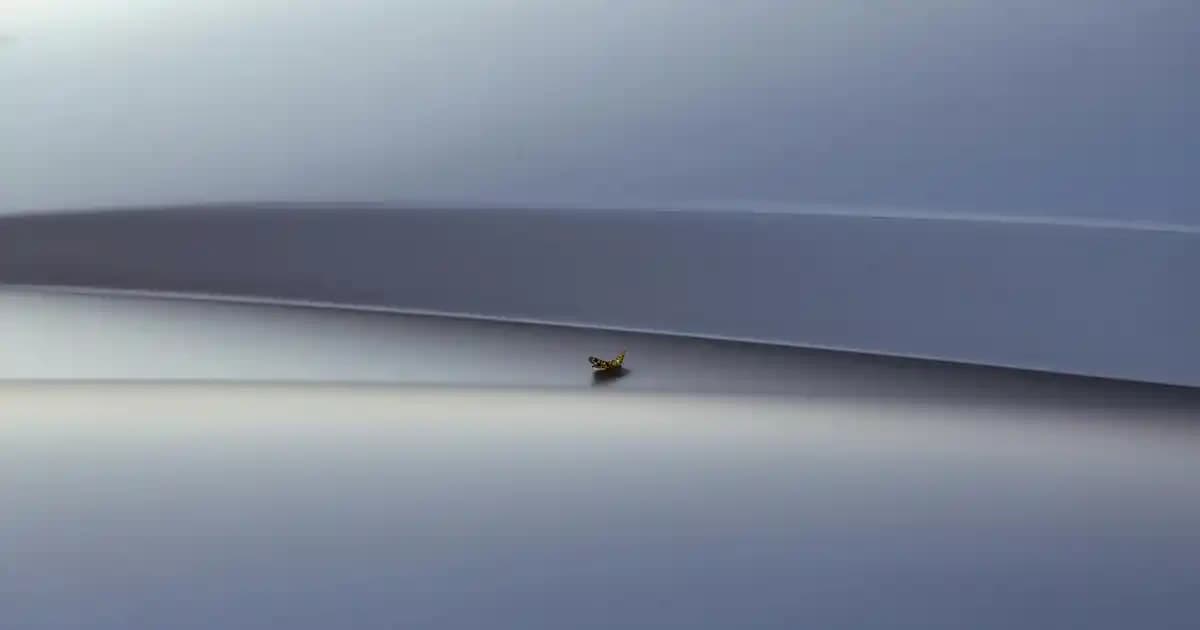 Nike Air Force Erkek Ayakkabıları: Şıklık ve Konfor Sunan Modern Tasarımlar