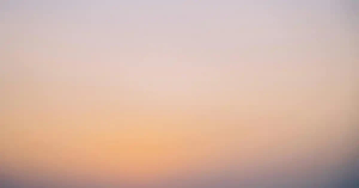 Nike Air Force Erkek Ayakkabıları: Tarz ve Konforun Bir Arada Sunulduğu Modeller