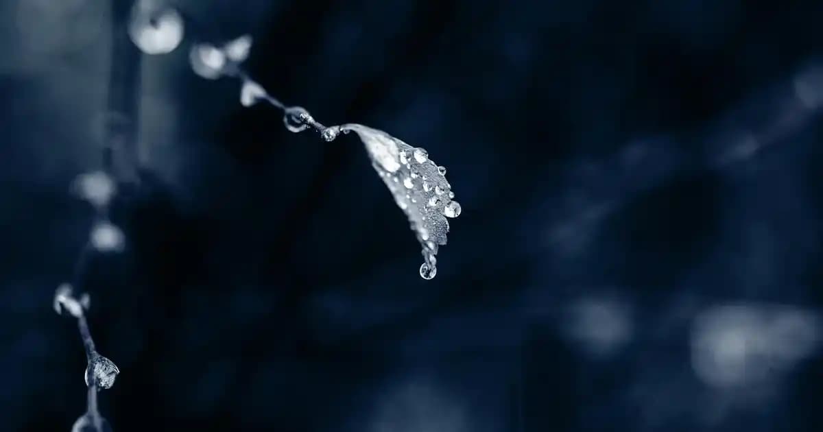 Nike Air Force Siyah Erkek Ayakkabıları: Stil ve Konforun Mükemmel Buluşması