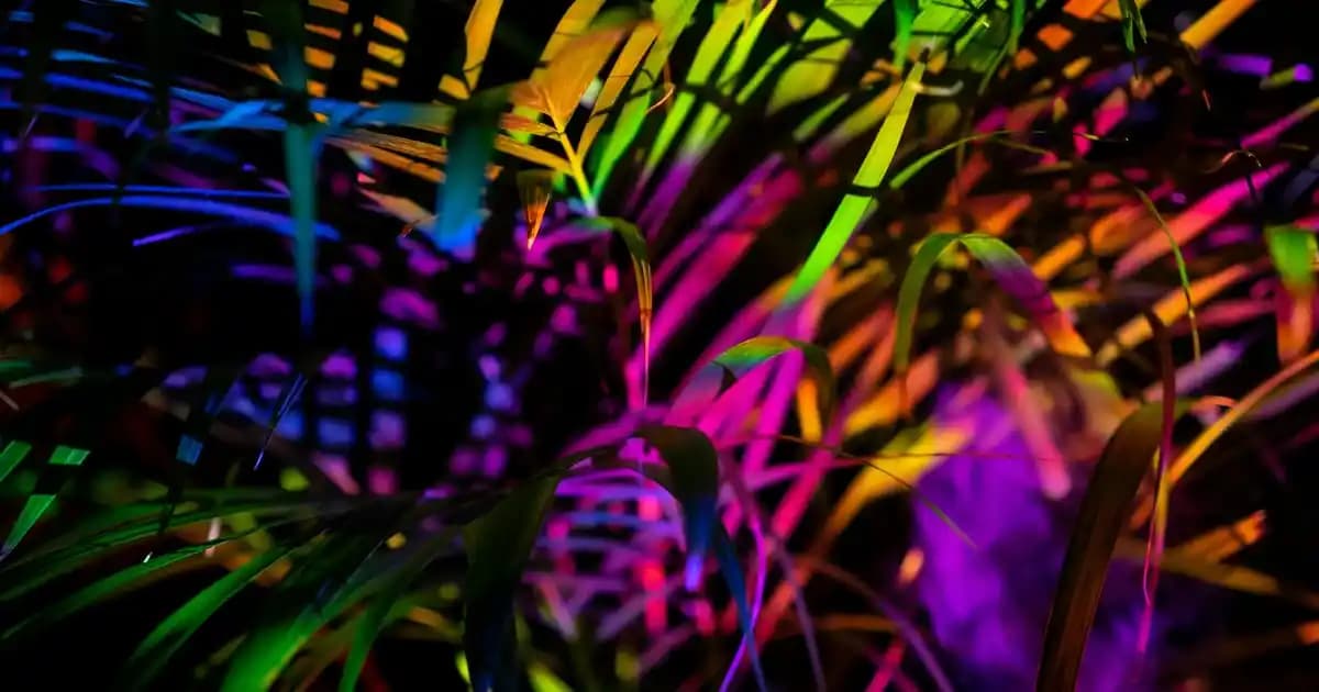 Nike Air Jordan 1 Mid Erkek Spor ve Günlük Kullanım İçin Klasik Tasarım Ayakkabı