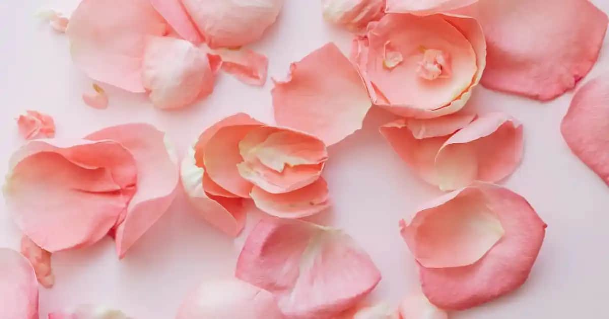 Nike Air Max Erkek Modelleri: Konfor ve Şıklığı Bir Arada Sunan Spor Ayakkabıları