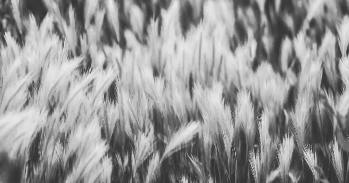 Nike Air Max Kadın Modelleri: Konfor ve Şıklığın Mükemmel Buluşması