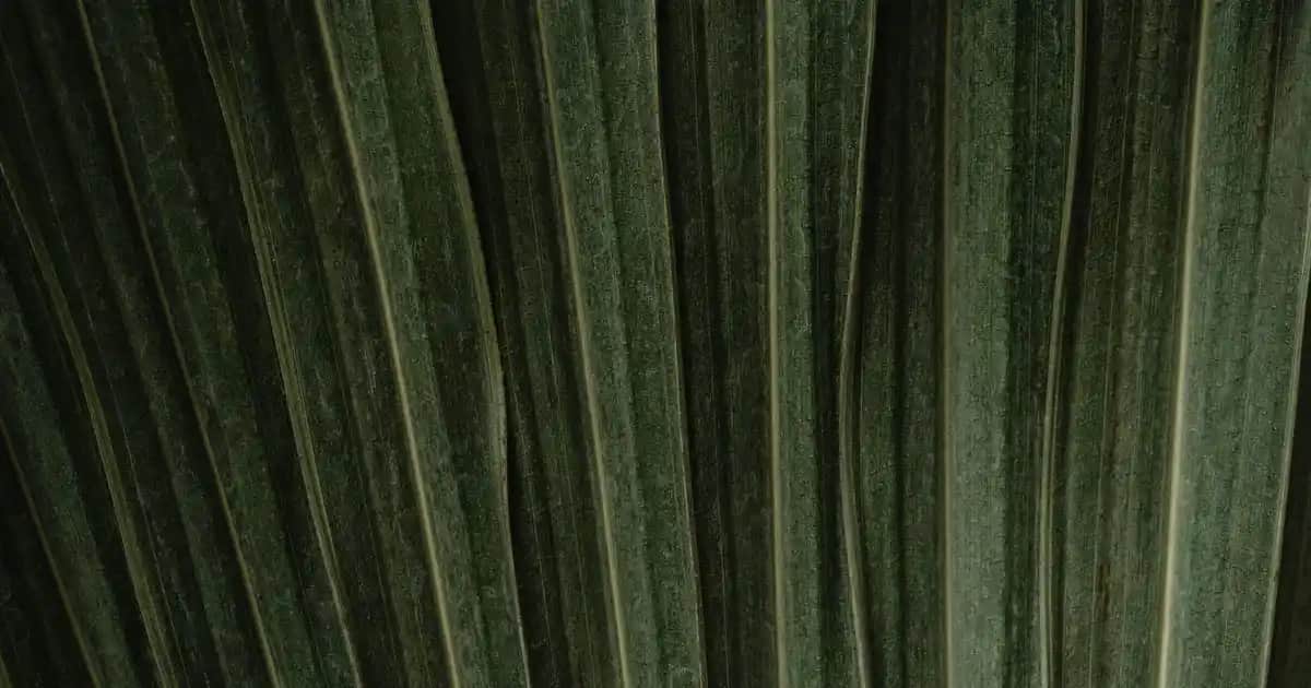 Nike Basketbol Ayakkabıları: Performans ve Şıklığın Bir Arada Olduğu Modern Seçenekler