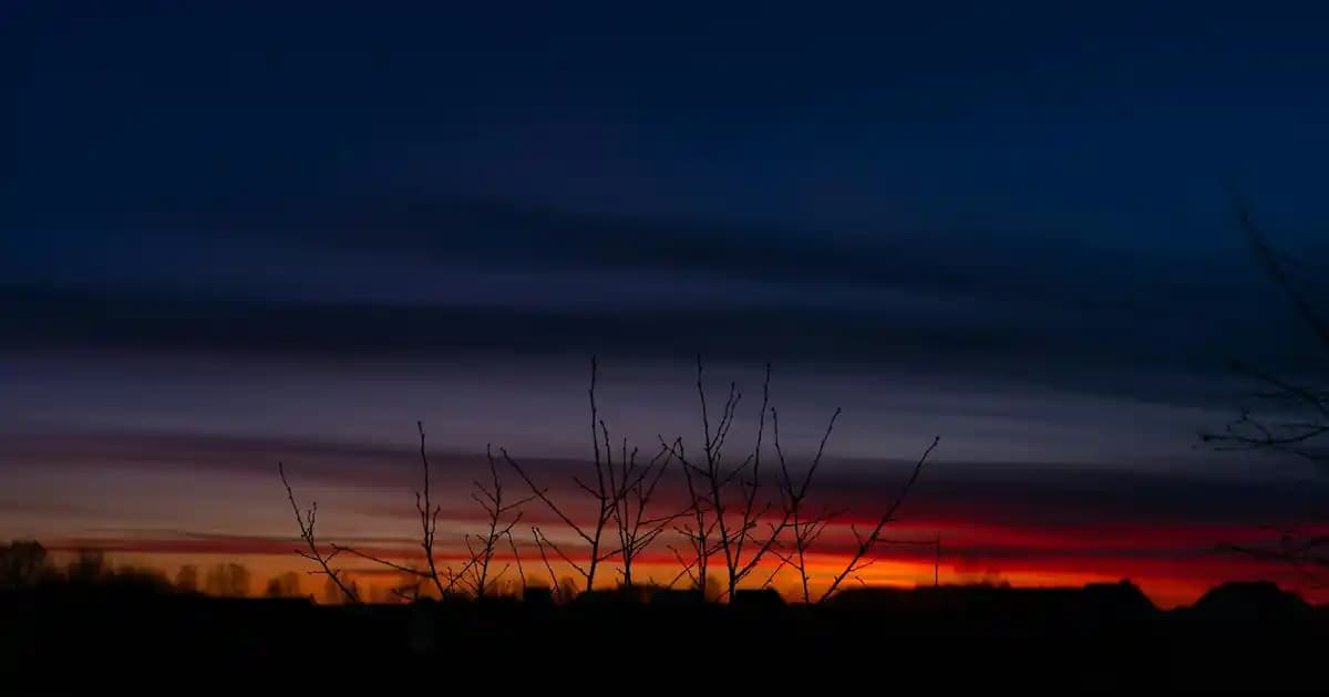 Nike Bebek Yürüyüş Ayakkabısı: Güvenli ve Konforlu Seçenekler ile İlk Adımların Keyfi