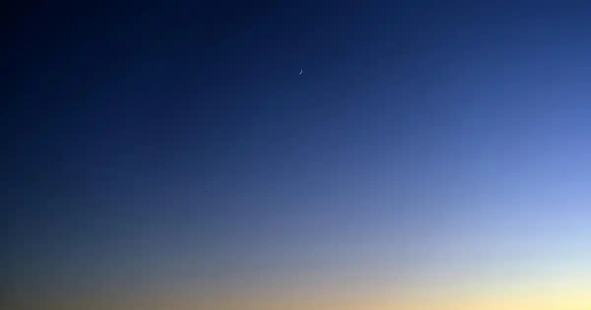 Nike Beyaz Bayan Spor Ayakkabıları: Şıklık ve Konforun Bir Arada Sunulduğu Modeller