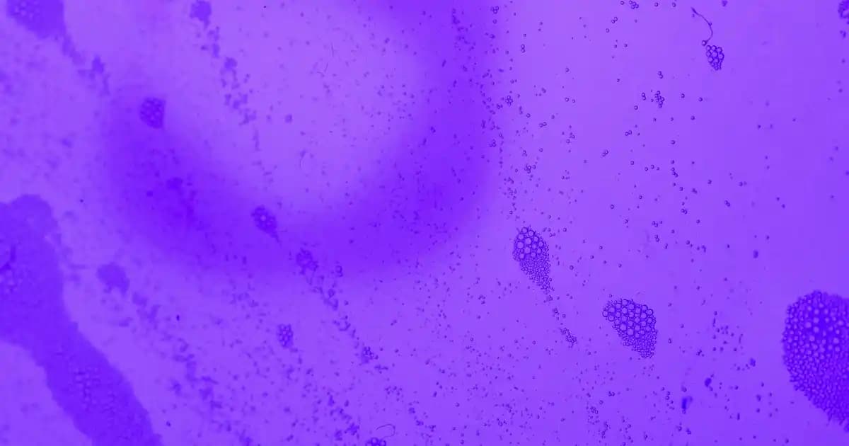 Nike Beyaz Siyah Ayakkabılar Modelleri ve Şıklık ile Rahatlığın Buluşması