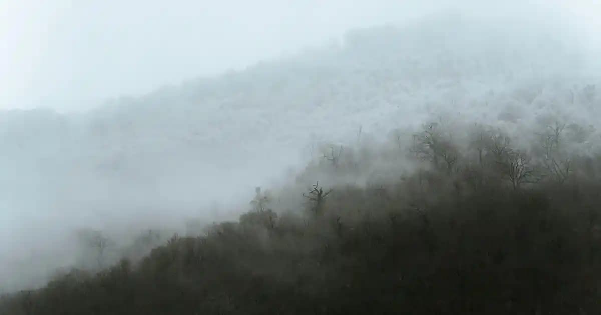 Nike Beyaz Terlikler: Modern Tasarım ve Yüksek Konfor Sunan Günlük ve Spor Modelleri