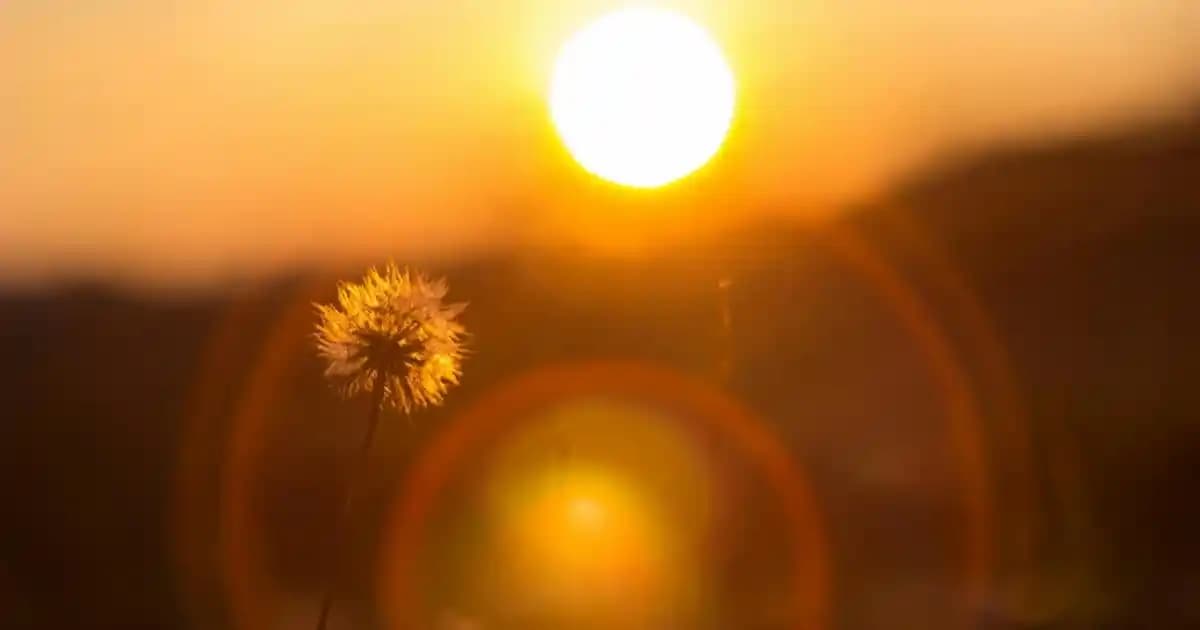 Nike Bilekli Ayakkabılar: Şıklık ve Konforu Bir Arada Sunan Modern Tasarımlar