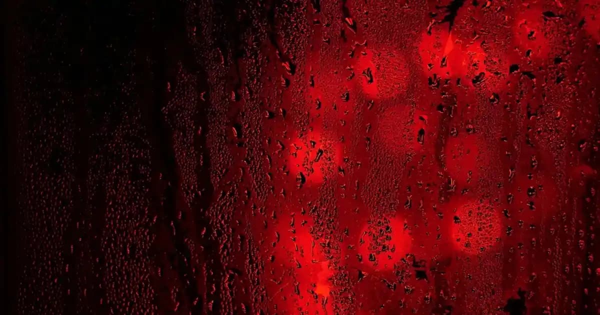 Nike Boyun Çantası: Şıklık ve Pratikliği Bir Arada Sunan Modern Aksesuar