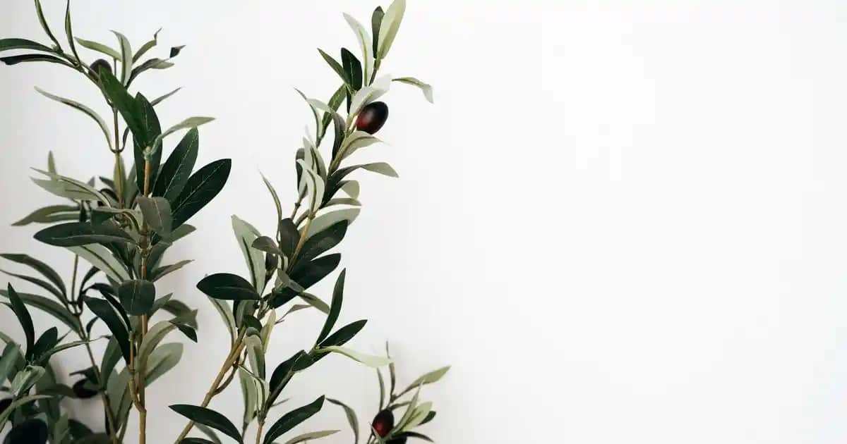 Nike Çocuk Ayakkabıları: Konfor, Stil ve Kalitenin Güçlü Birlikteliği