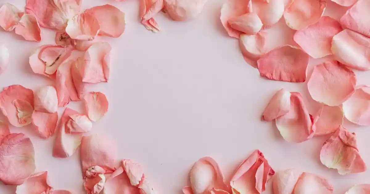 Nike Court Lite 2 Erkek Spor Ayakkabıları: Şıklık ve Performansın Birleşimi