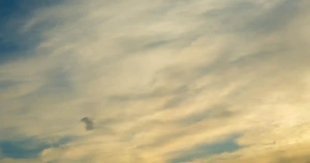 Nike Defy All Day Kadın Ayakkabıları: Günlük Konfor ve Şıklığın Modern Buluşması