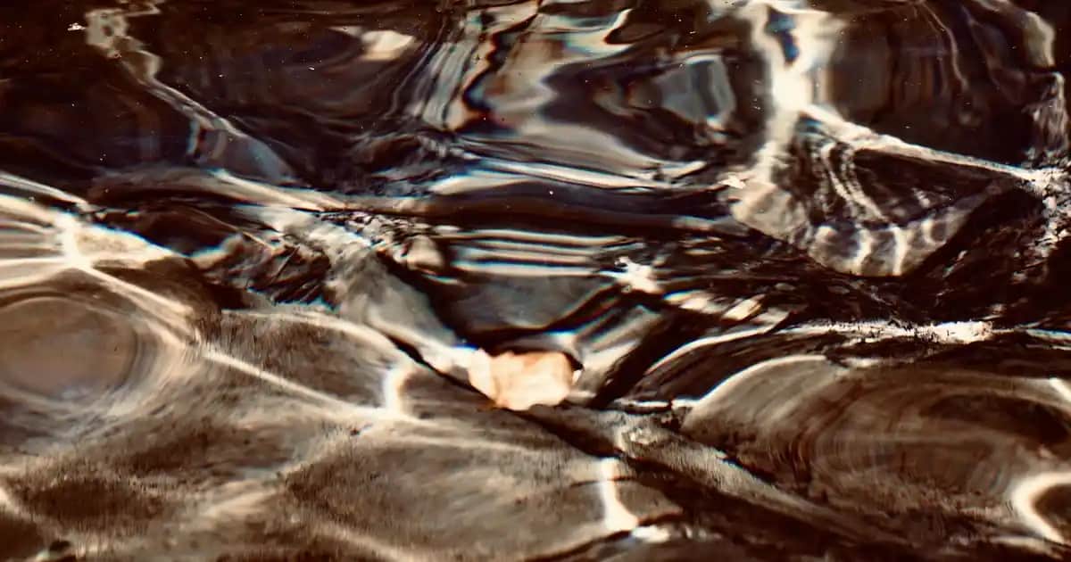 Nike Dunk: Spor ve Moda Dünyasının İkonik Ayakkabısı Güncel Modeller ve Tasarımlar