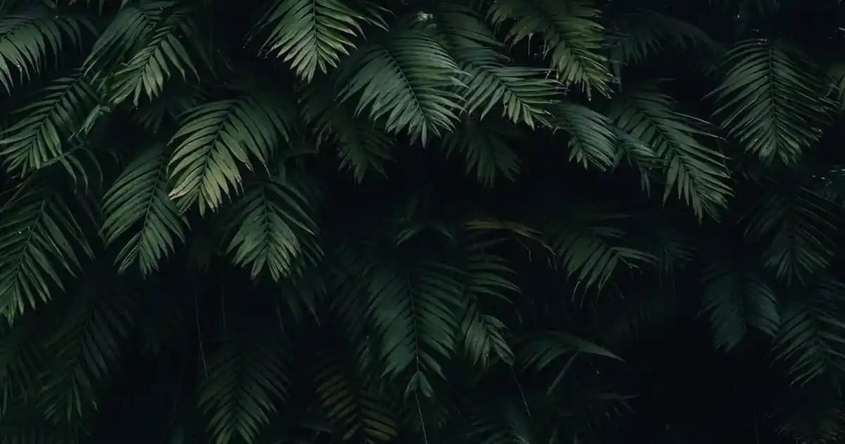 Nike Elemental Çanta İncelemesi: Şıklık ve Fonksiyonelliğin Buluştuğu Günlük Çanta Seçenekleri