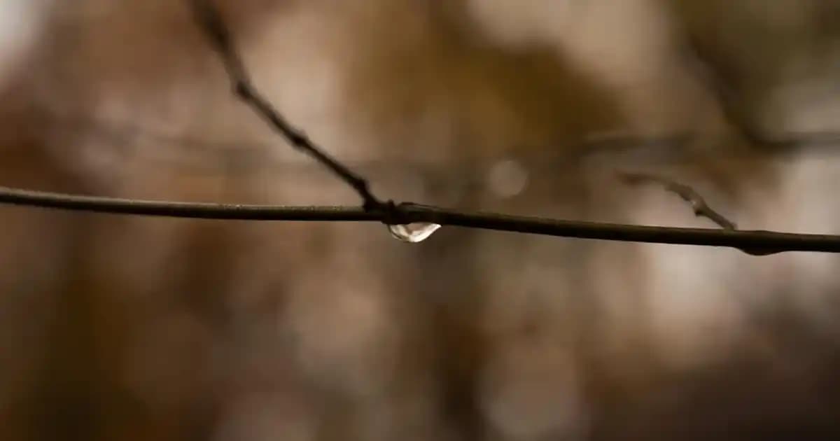 Nike Erkek Beyaz Çoraplar: Günlük ve Spor Kullanımına Uygun Kaliteli Seçenekler