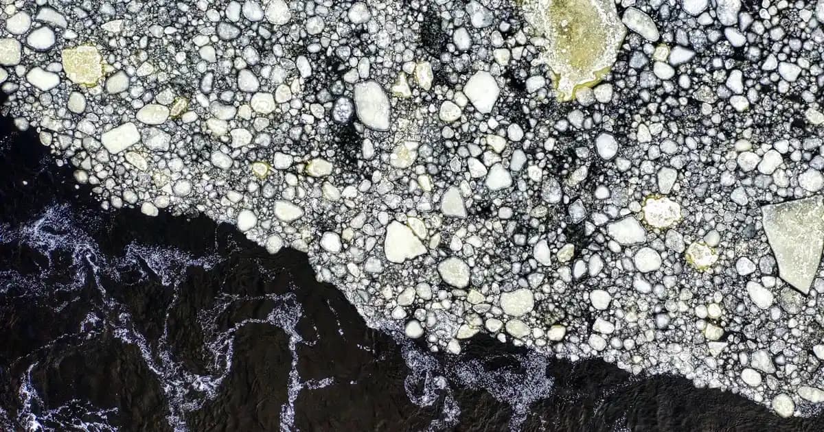 Nike Erkek Çantaları: Spor ve Günlük Kullanım İçin Dayanıklı ve Şık Modeller