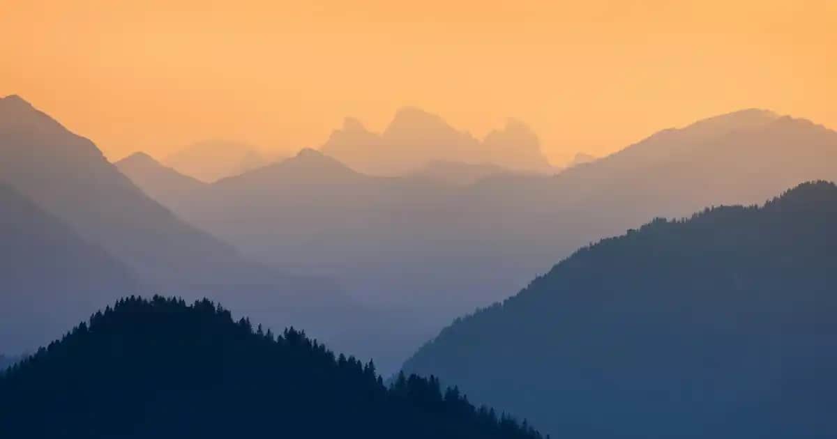 Nike Erkek Eşofman Altları: Konfor ve Şıklığı Bir Arada Sunan Modeller ve Fiyatlar