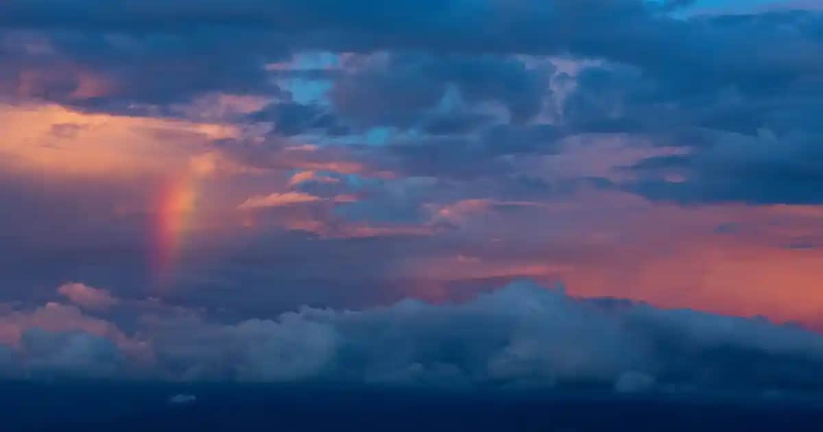 Nike Erkek Koşu Ayakkabıları: Teknoloji ve Tasarım ile Performansı Artırın