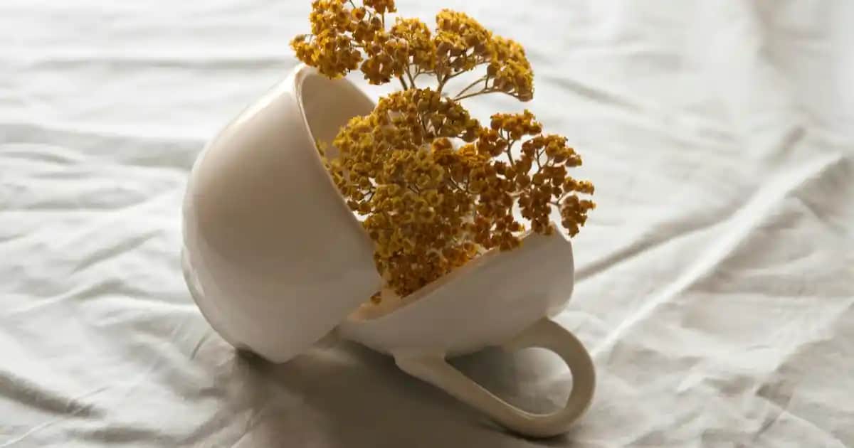 Nike Erkek Pantolonları: Modern ve Fonksiyonel Tasarımlarla Günlük ve Spor Şıklığı