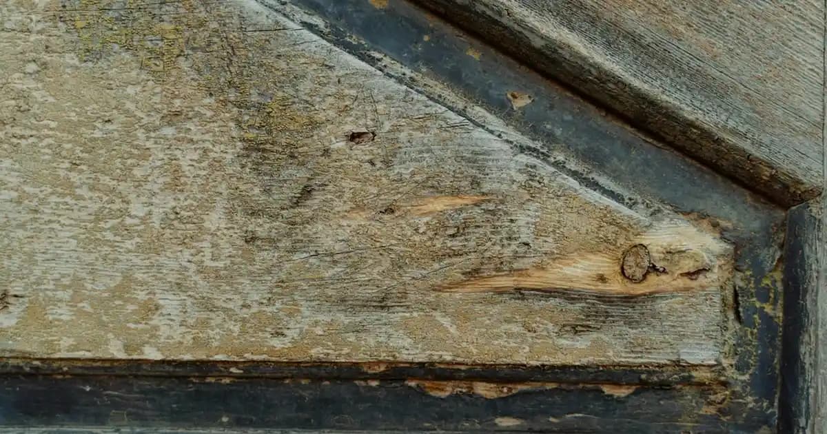 Nike Erkek Sweatshirtleri: Spor ve Günlük Kullanım İçin Modern ve Konforlu Seçenekler