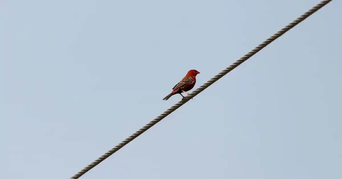 Nike Erkekler İçin Dayanıklı ve Şık Sırt Çantası Modelleri ve Özellikleri