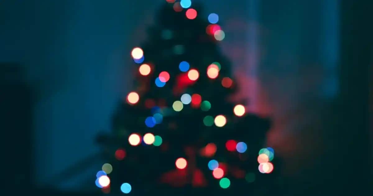 Nike Free 3.0 Erkek Ayakkabıları: Doğal Hareket ve Konfor Sunan Spor ve Günlük Kullanım Modelleri