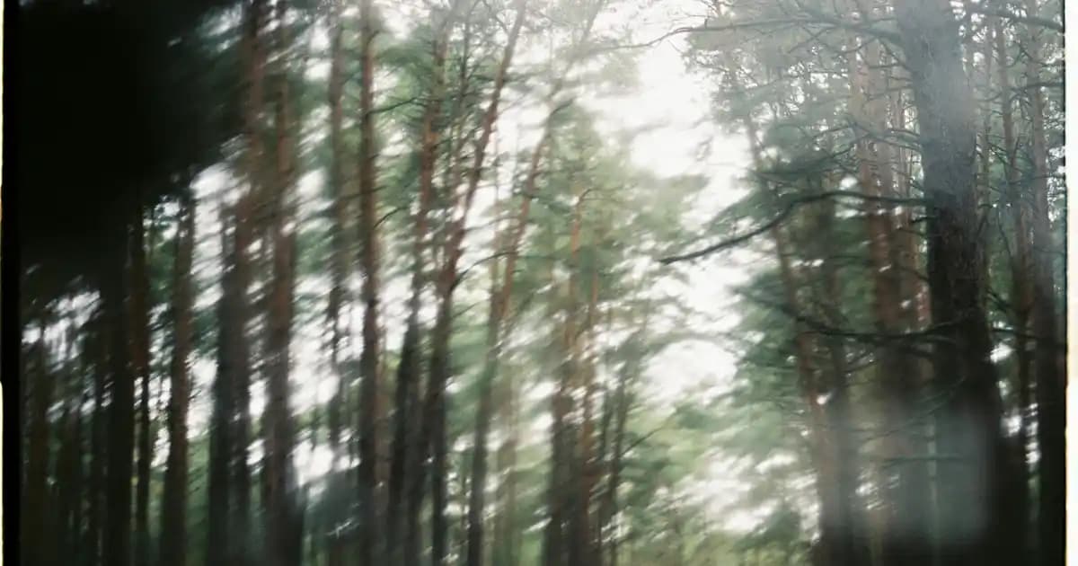 Nike Gore-Tex Kadın Ayakkabıları: Şıklık ve Fonksiyonelliğin Birleşimi