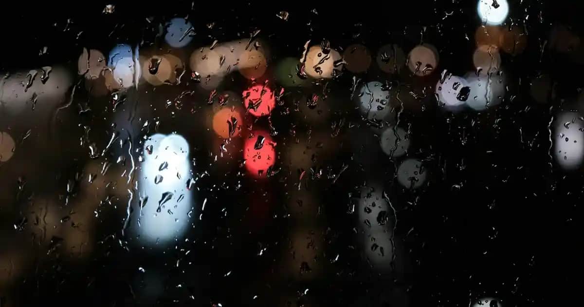 Nike Halı Saha Ayakkabıları: Performans ve Konforu Bir Arada Sunan Seçenekler