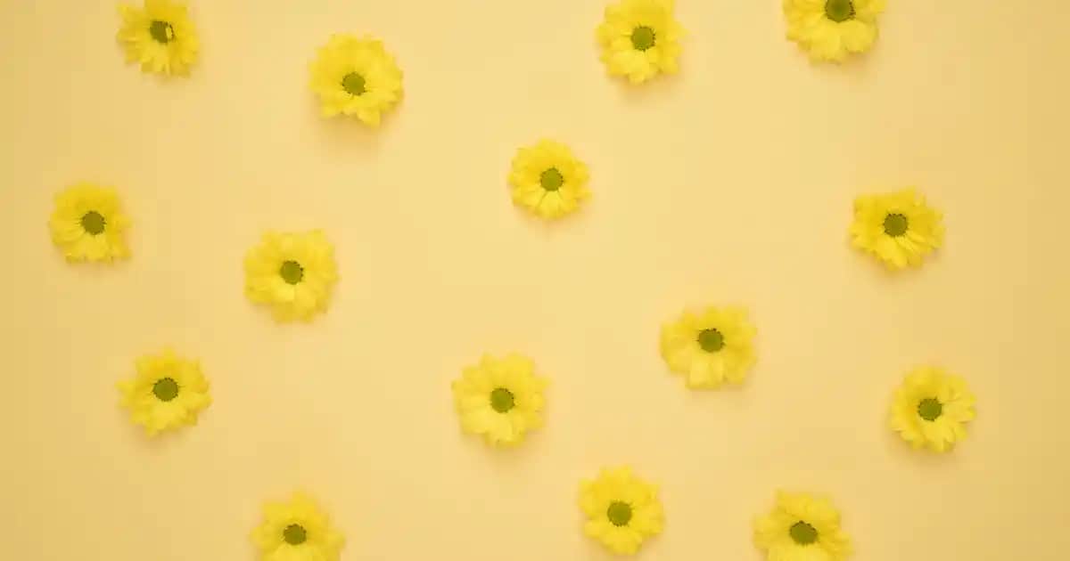 Nike'ın Pembe Sırt Çantaları: Şıklık ve Fonksiyonelliğin Güncel Trendleri