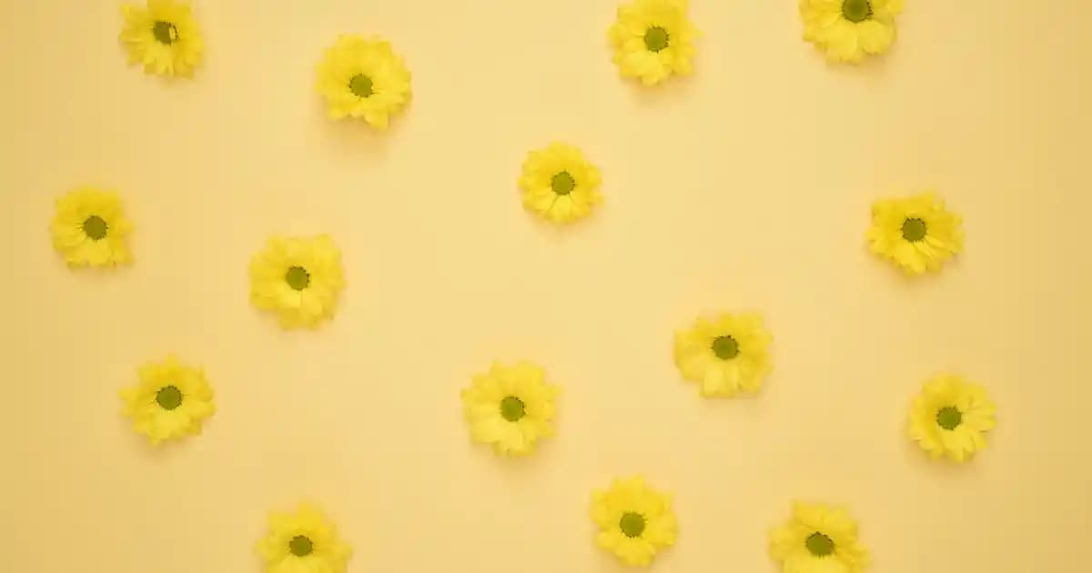 Nike'ın Pembe Sırt Çantaları: Şıklık ve Fonksiyonelliğin Güncel Trendleri