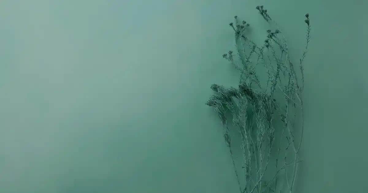 Nike Invincible Run 2 Erkek Koşu Ayakkabıları: Performans ve Konforun En İyi Buluşması