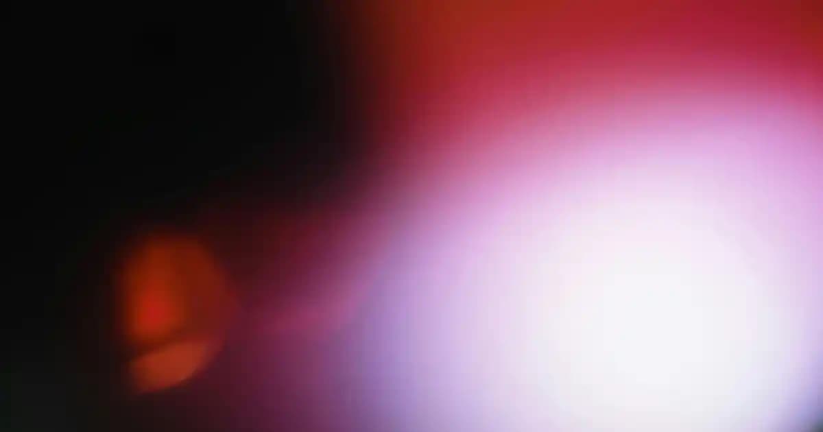 Nike Kadın Eşofmanları: Rahat ve Şık Spor Giyim Seçenekleri ve Trendler