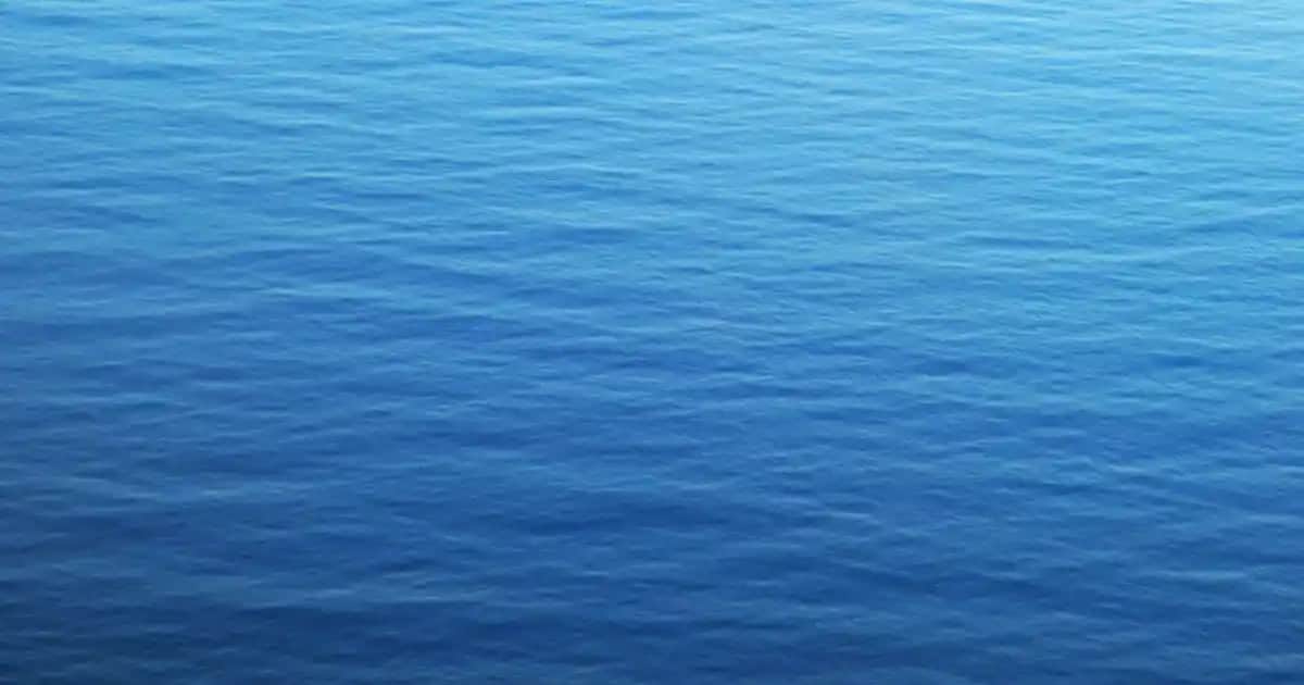 Nike Kadın Kazak Koleksiyonu Modern Tasarımlar ve Konfor Sunan Modeller