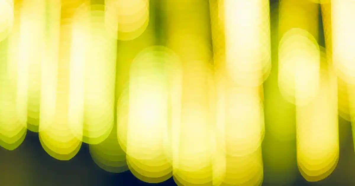 Nike Kadın Montları: Şıklık ve İşlevselliğin Mükemmel Birleşimi