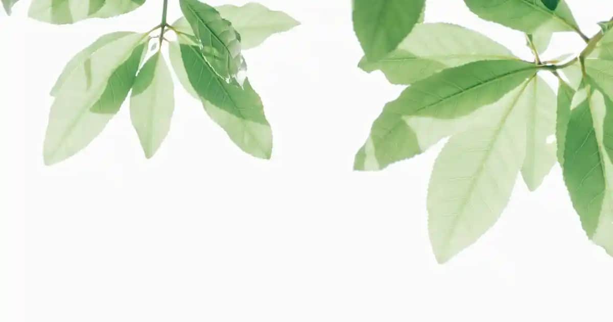 Nike Kadın Parka Modelleri ile Şık ve Fonksiyonel Kış Kombinleri Rehberi