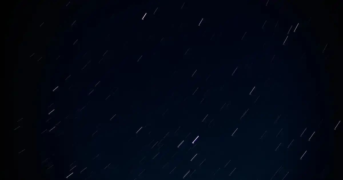 Nike Kadın Siyah Beyaz Ayakkabılar: Şıklık ve Konforu Bir Arada Sunan Modeller