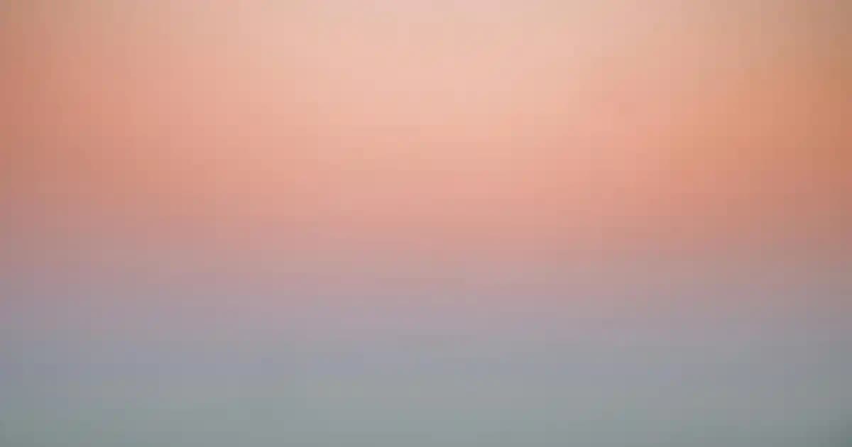 Nike Kadın Sweatshirtleri: Modern Tasarımlar ve Yüksek Konfor Sunan Koleksiyon