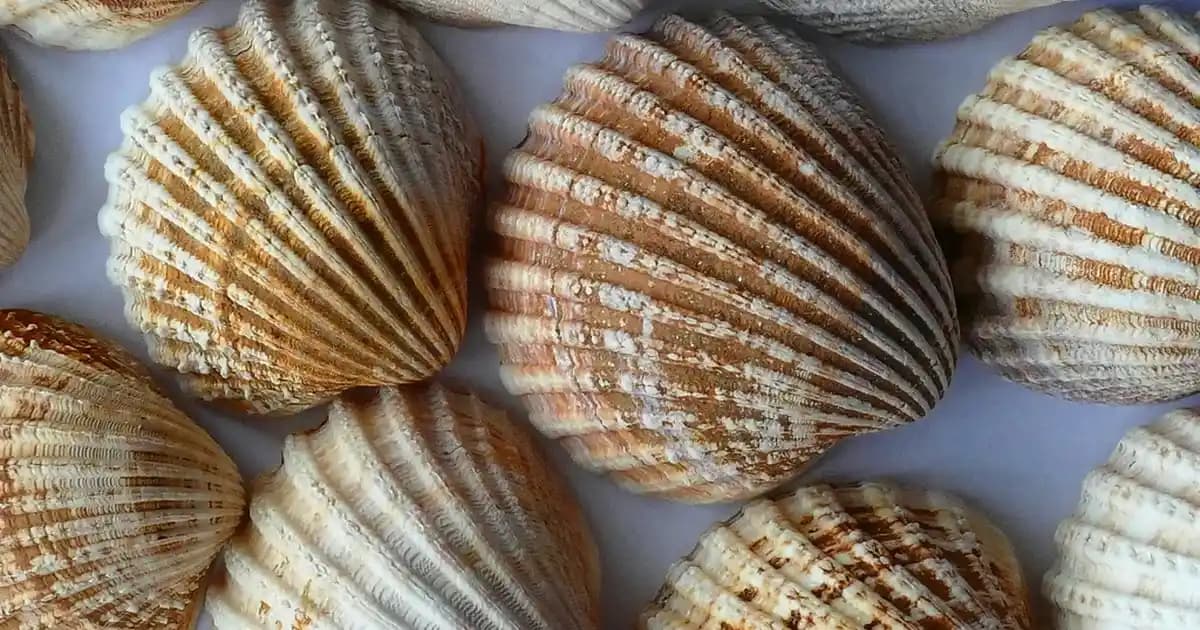 Nike Kız Çocuk Sandaletleri: Konfor ve Şıklığı Bir Arada Sunan Yaz Ayları Modelleri