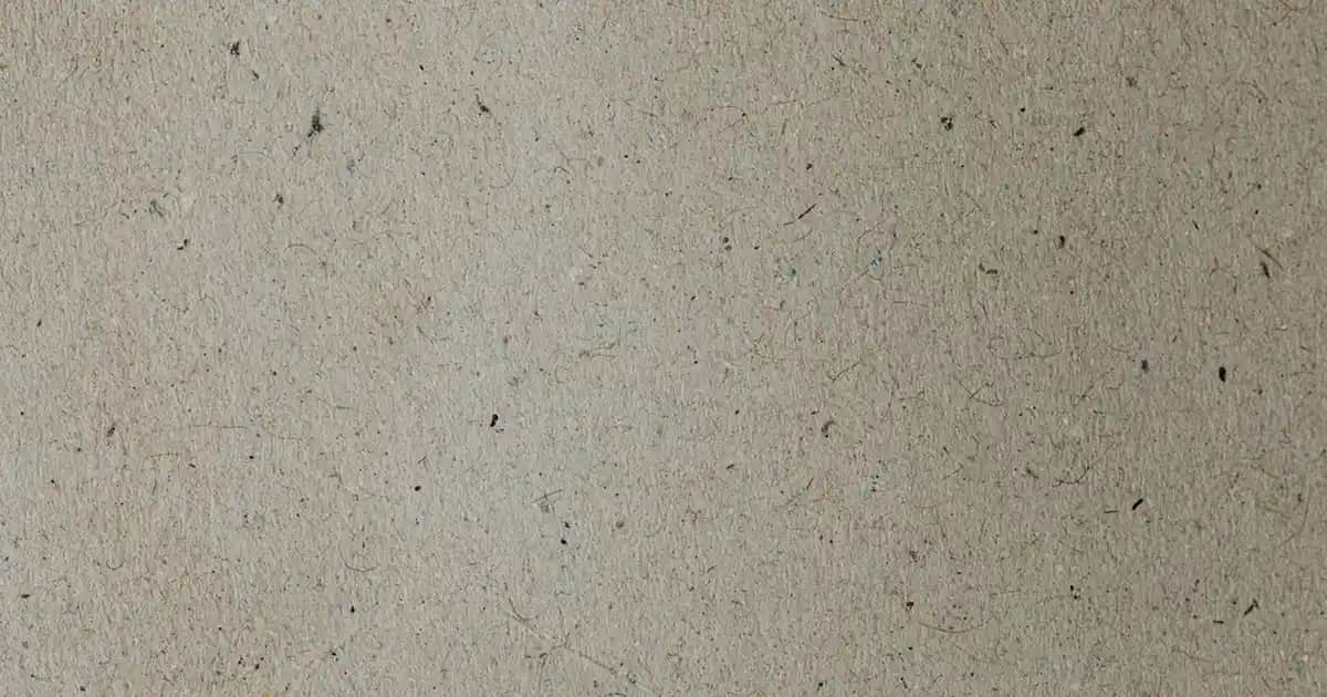 Nike Koşu Ayakkabısı Özellikleri ve Seçim Rehberi 2023