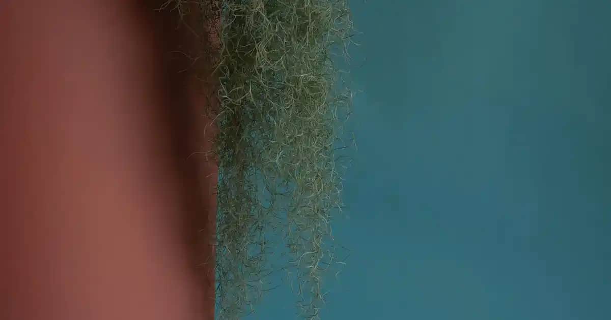 Nike orijinal erkek ayakkabıları: kalite, şıklık ve konforu bir arada bulma