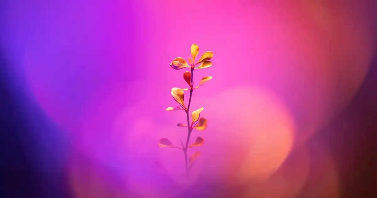 Nike Özel Seri Erkek Ayakkabıları: Tasarım, Konfor ve Sınırlı Üretim Seçenekleri