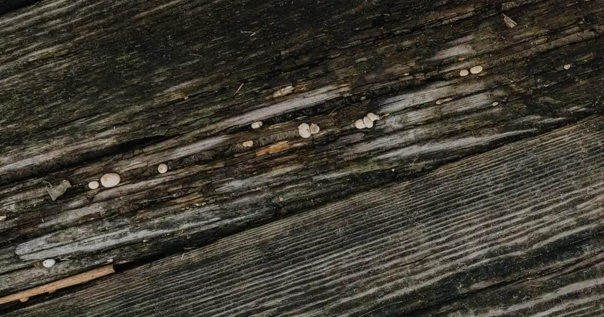 Nike Postacı Çantası: Şıklık ve Fonksiyonellik Sunan Modern Tasarımlar