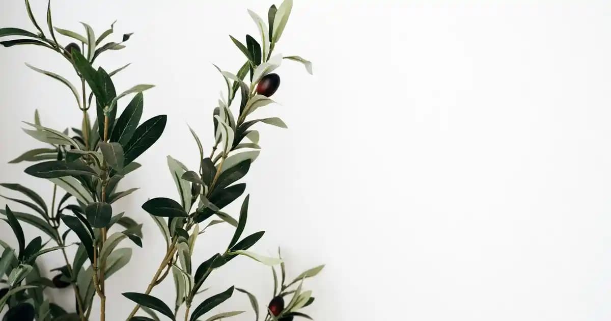 Nike Pro Therma-Fit Sphere Erkek Eşofman Altı: Sıcak Tutma ve Performans Sunan Modern Tasarım