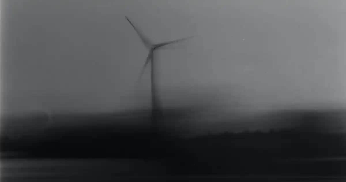 Nike Siyah Erkek Spor Ayakkabıları: Şıklık ve Performansın En İyi Buluşması